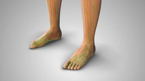 Indentation Swelling from Pitting Edema Condition Stock-Footage 307735154
