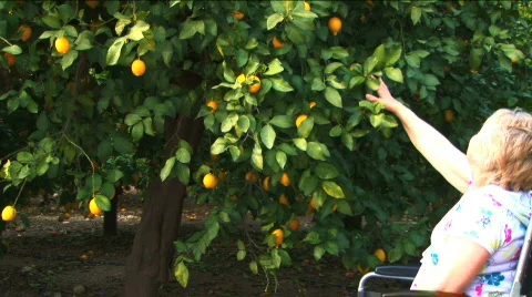 Independence with mobility aids Stock Footage 325718