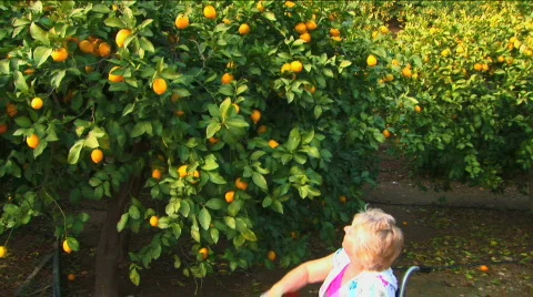 Independence with mobility aids Stock Footage 325881