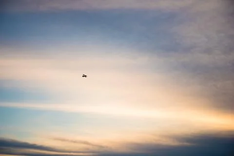 Independence small plane flying through the sunset in key west Stock Photos