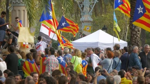 Independence Supporters at Arc de Triomf Stock Footage 80255658