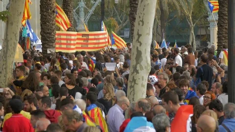 Independence Supporters in Arc de Triomf 스톡 동영상 80255694