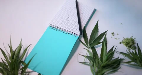 Indepth analysis of cannabis samples, ensuring accurate observation and thorough Stock Footage 284062464