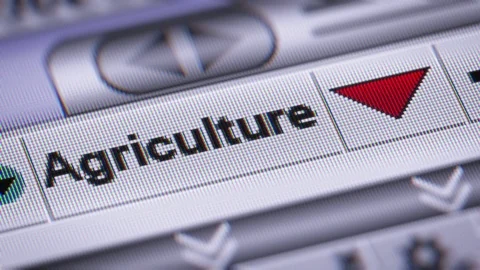 Index of Agriculture. Down. Looping. Video stock 72904719