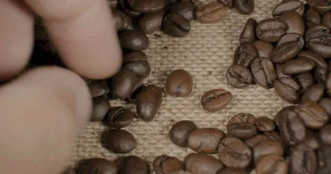 Index finger selecting cofee beans Stockbeeldmateriaal 232269372