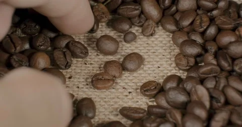 Index finger selecting cofee beans Vidéo 232269448