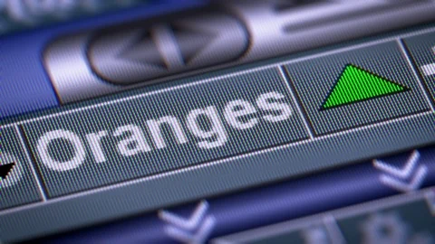 The Index of Oranges. Up. Looping. Stock Footage 74575561