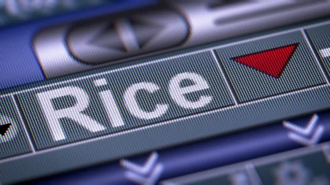 The Index of Rice. Down. Looping. Stock Footage 74575157