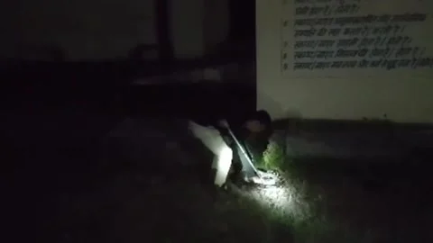 India: 12-foot python slithers into classroom, sparks midnight rescue at ... Stock Footage 294259980