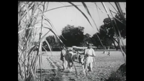 INDIA - 1949 - The child walks back home after school. Women wash their laundry Stock Footage 340584930