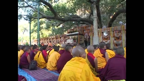 INDIA - 1999 - Tilt down from the Bodhi Tree to Buddhist monks chanting in Bodh Stock Footage 277254553