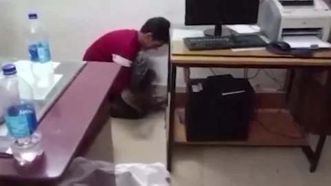 India: 8-foot python rescued in western India, released into natural habitat Vidéo 284340762