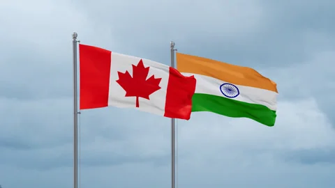 India and Canada flag Stock Footage 252023979