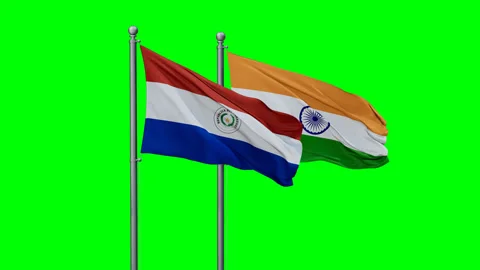 India and Paraguay two flags Stock-Footage 293211892