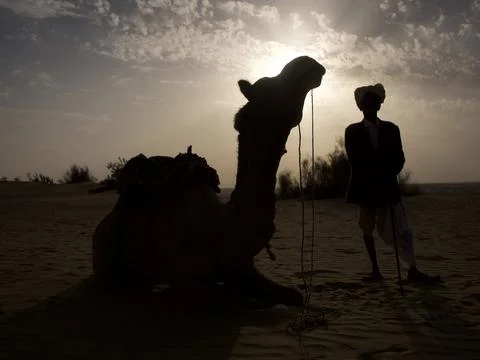 India Camel 2 Stock Photos