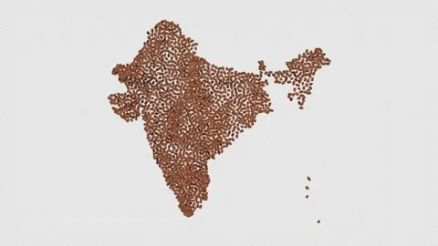 India Coffee Beans Stock Footage 152668275