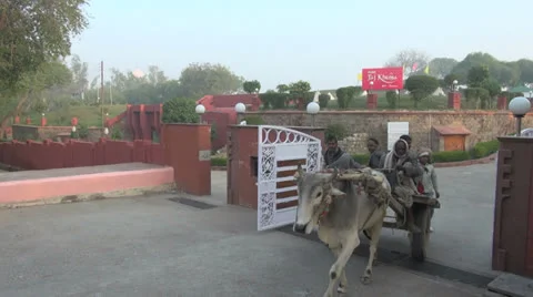 India a cow pulls a cart through a gate Stock Footage 24651888
