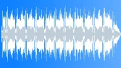 India Electro Lounge Music 2 (30 secs Edit Lounge Mix) Stock Music