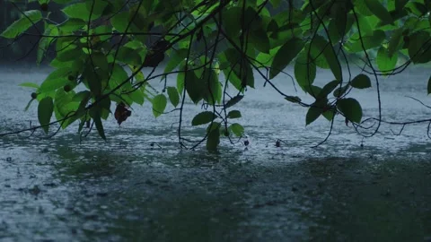 India experiences heavy rainfall due to the influence of the southwest monsoon. Video stock 313236506