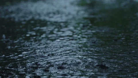 India experiences heavy rainfall due to the influence of the southwest monsoon. Stock Footage 313236539
