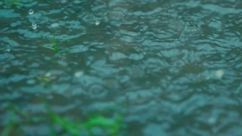 India experiences heavy rainfall due to the influence of the southwest monsoon. Stock Footage 313236826