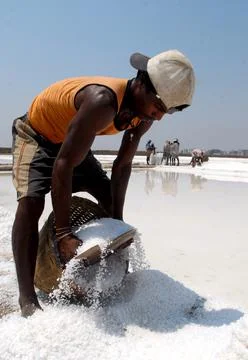 India Feature Package Salt Pan - Apr 2008 Foto stock