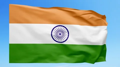 India Flag Animation – Seamless Loop (4K UHD) Stock Footage 317576411