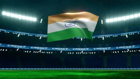 India flag cricket stadium Stock Footage 141310778