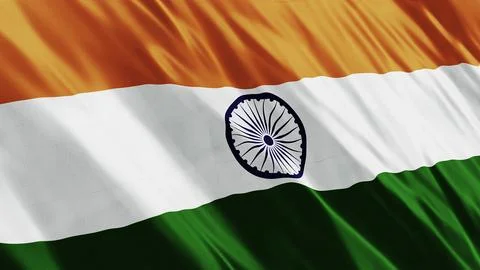 India Flag Dark Style Stock Illustration