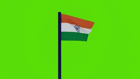 India flag 스톡 동영상 255419220