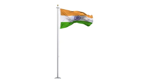 India flag waving looping with transparent background. 動画素材 315954762