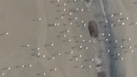 India Vídeos de archivo 129051892