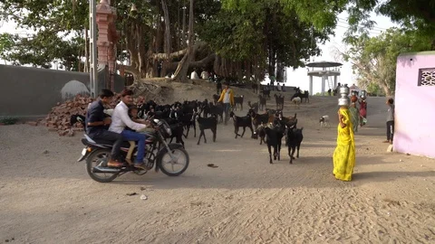 India Vídeos de archivo 129236858