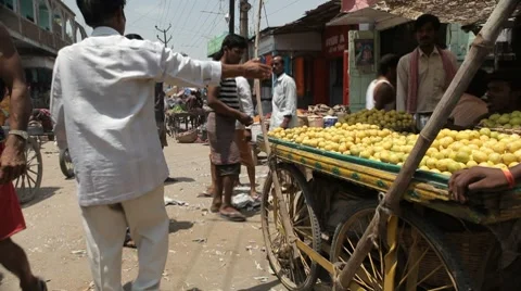 India Fruit Stall LS 2 스톡 동영상 8554670