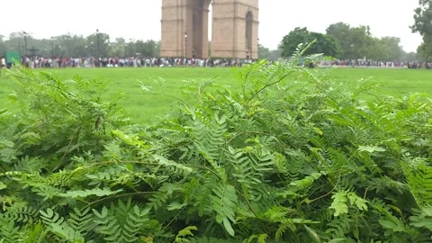 India Gate Surrounded by Trees and Green Lawns Video stock 320382981