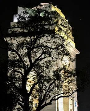 India gate tree 写真素材