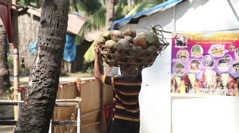 INDIA, GOA - 2012: Indian man carries a basket of coconuts on his head Stock Footage 45593908