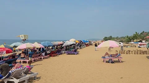 India - Goa | Candolim Beach| 8K 動画素材 256911260