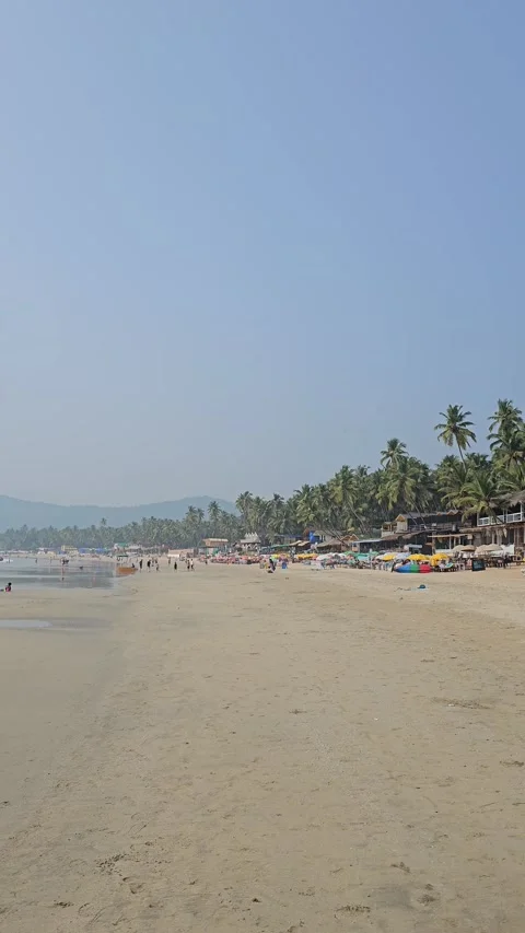 India - Goa | Palolem Beach | 8K Vídeo Stock 256910883