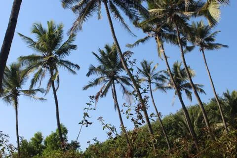 India - GOA Stock Photos