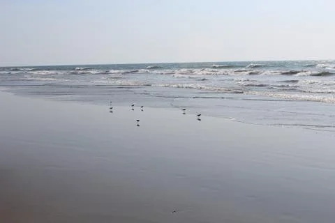 India - GOA Stock Photos