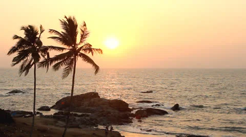 India Goa Vagator beach February 20, 2013. Palm Trees Silhouette At Sunset Stock Footage