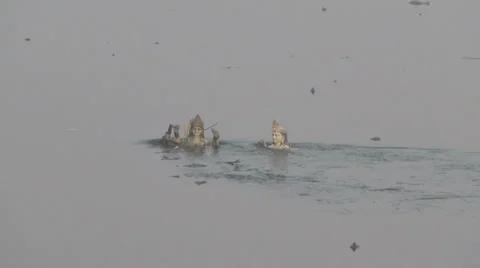 India Hindu gods in the river Stock Footage 24651607