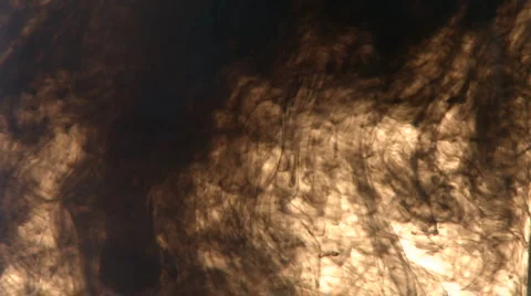 India Ink Dissipates Stock Footage 990320