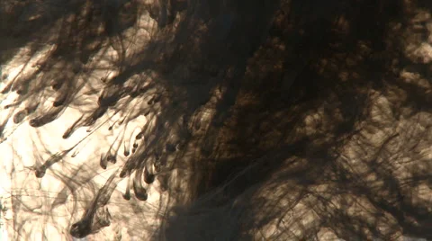 India Ink Rain Stock Footage 990176