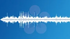 India jungle atmosphereSound Effect