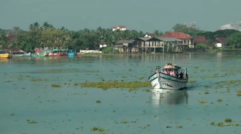 India Kerala Kochi Cochin City 004 boating in the backwaters Stock Footage