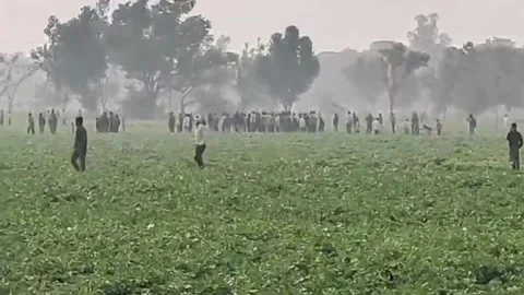 India: Leopard attacks dozen villagers, sparking panic while forest depar... Stock Footage 295073847