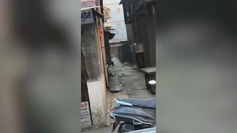 India: Leopard leaps across buildings inside neighbourhood, panic spreads... Stock Footage 324509926