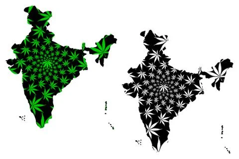 India - map is designed cannabis leaf Stock Illustration